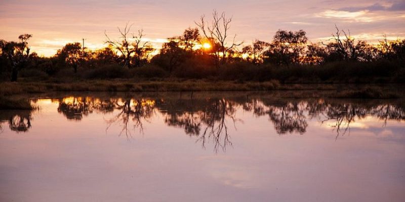 Birdsville