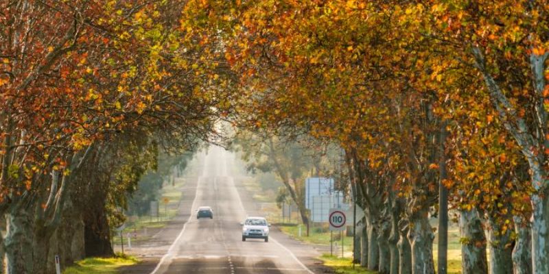 Narrandera